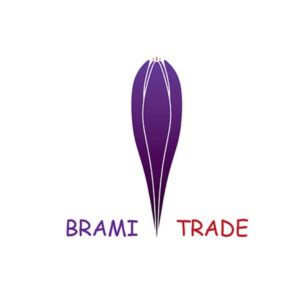 logo brami