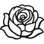 rose noire 150x150 1